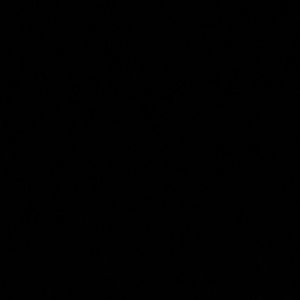 Meet your Posher, Miranda